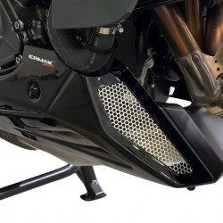 8902Z11 : Carter motore EVO Ermax 2025 Yamaha Tracer 9