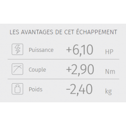 Y.069.L4C - 1111076002 : Ligne d'échappement MIVV Oval Yamaha Tracer 9